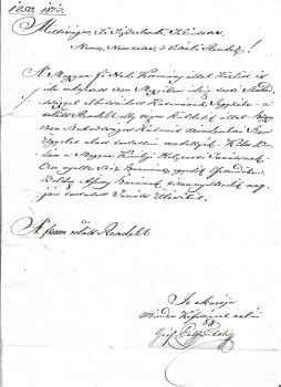 Pálffy Fidél (1788-1864) Pálffy Fidél (1788-1864) tárnokmester, főkancellár saját kézzel aláírt levele a budai Helytartótanácshoz 1831-ből.