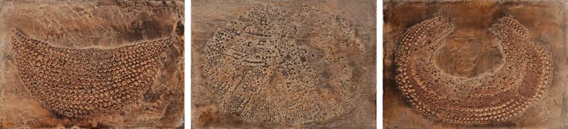 Bátai Sándor (1955 - ): Afrika I., II., III., 2009