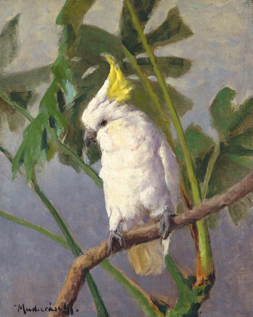 Madarász Gyula (1858-1931): Kakadu