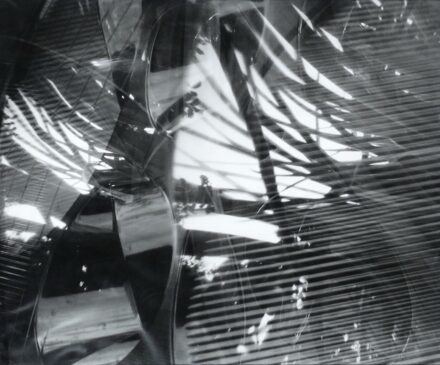 Szegedy-Maszák Zoltán (1969): WHAT DOES PHOTOGRAPHING MEAN? 2009/08
