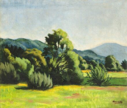 Husovszky János (1883-1961): Nagybányai dombok