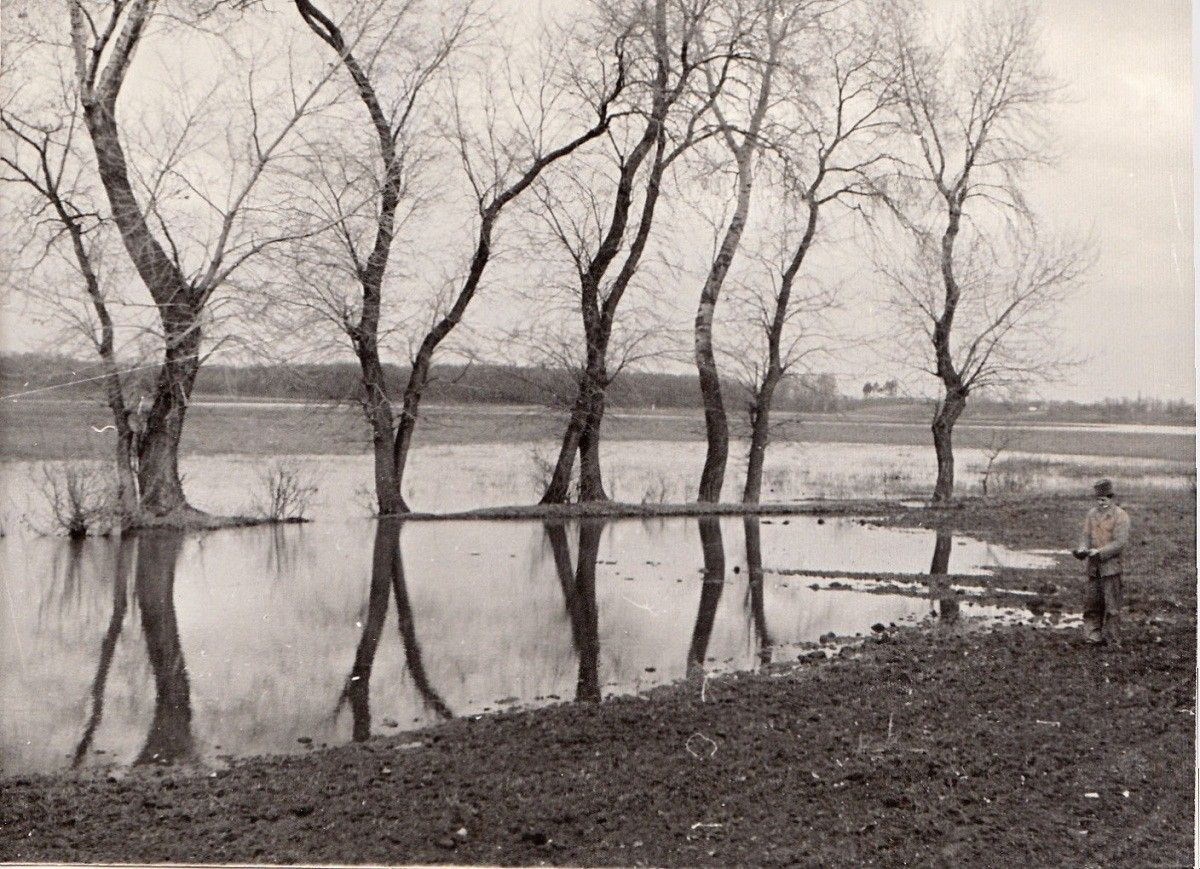cca 1955. Hidaspusztai Állami Gazdaság, Kovács Dezső dunavecsei egyéni gazda MTI mezőgazdasági riport sajtófotó, feliratozva, 13x10 cm