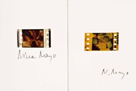 Nina Mayo - Kompozíció, 2 db