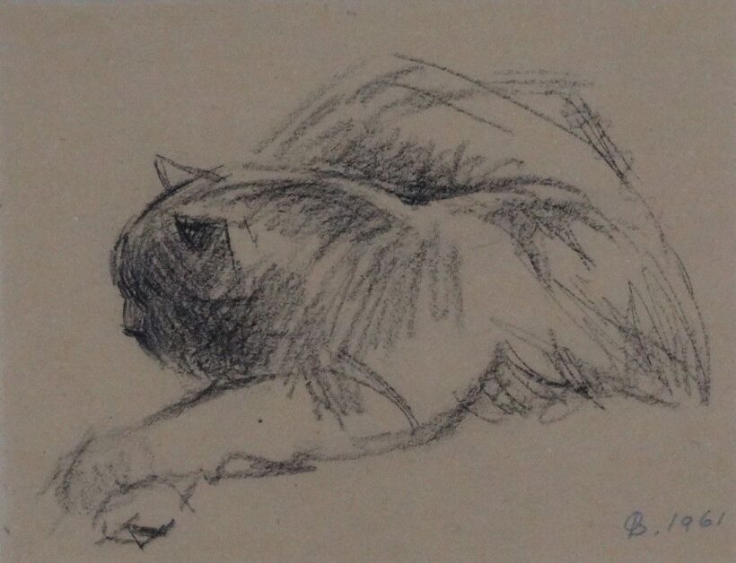 Cica, 1961   96/54
