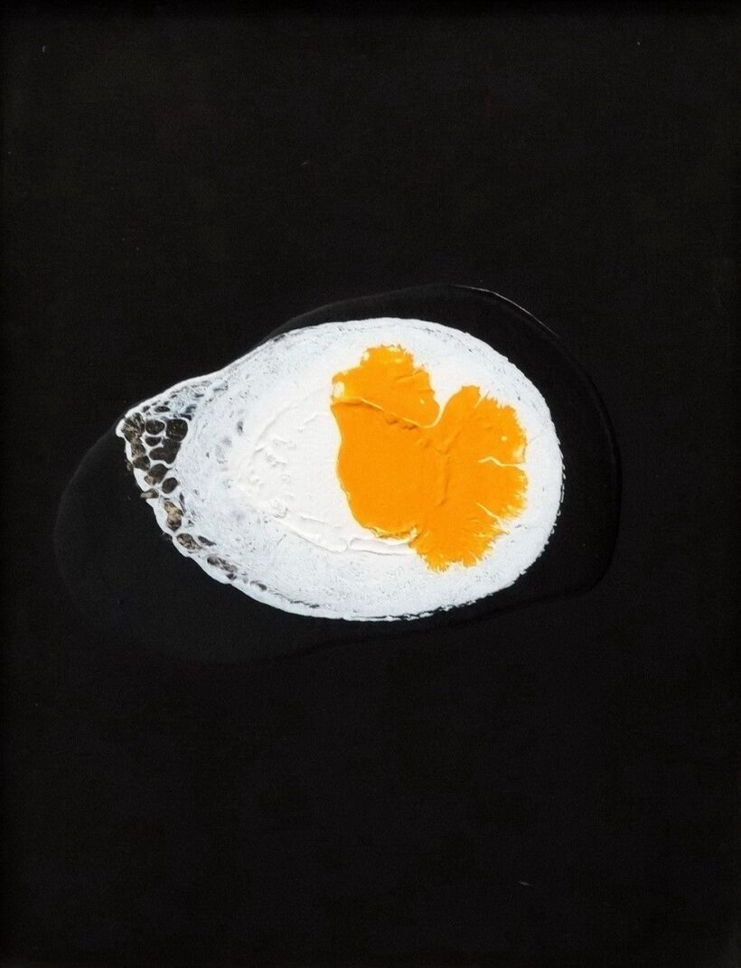 Koszorús Gergely (1984): Tükör-tojás