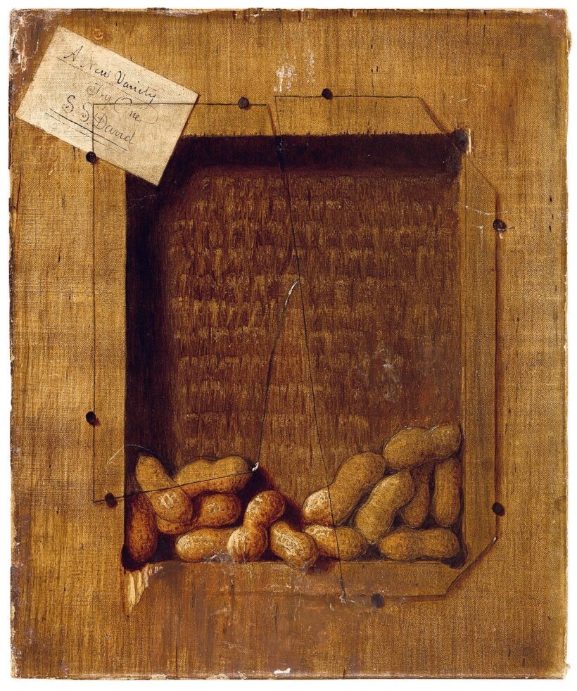 David Scott Evans:Tromp l'oeil (Földimogyoró)