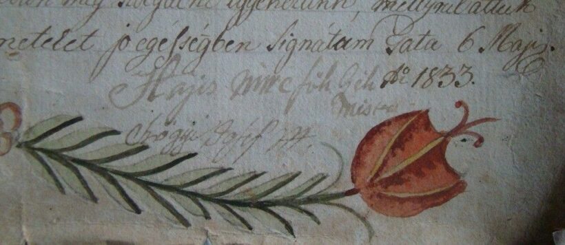 47-1033 1833. Molnár legény felszabíditó levele a Patai molnár czhé mestereitől. Kézzel díszitett, restaruál 47x34cm - Image 2
