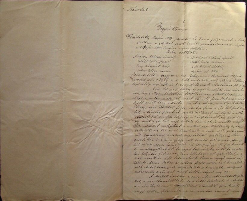 47-1071 1895 Jegyzőkönyv a bajai Görög keleti szerb tanító javadalmazása ügyében. Erdélyi Gyula (1848-1937 ) főjegyző aláírásával