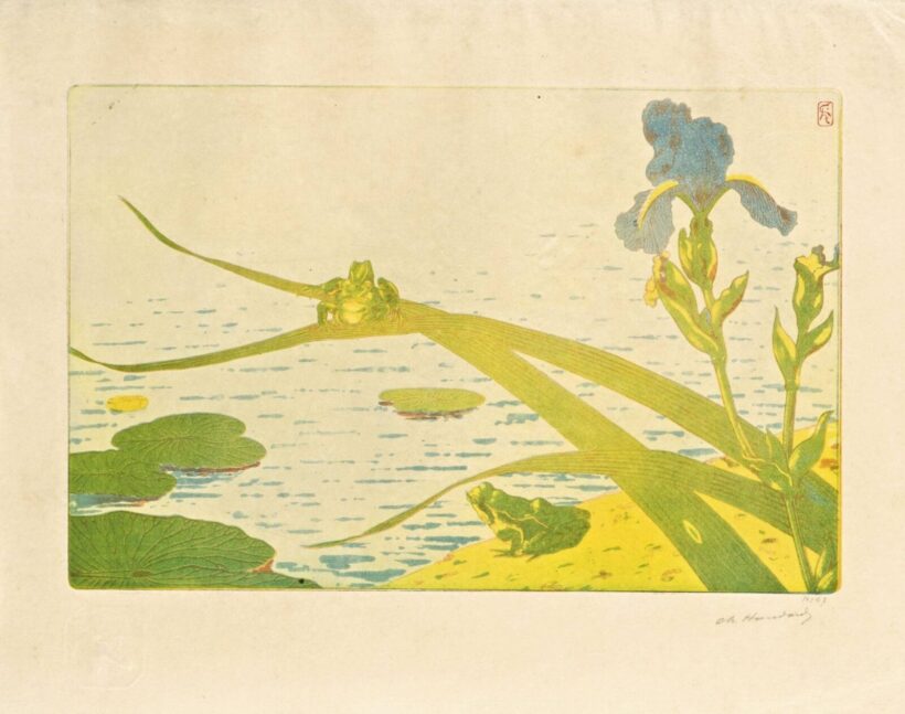 Francia művész, 1900 körül - Levelibékák íriszek között