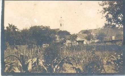 49-329 1929. Bonyhádi iskola kert.
