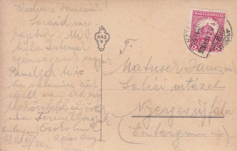49-1533 Virág/Dombornyomott képeslap - Image 2