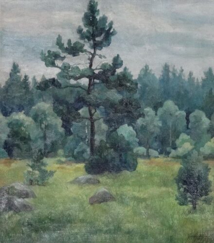 Bornemissza Géza: Szurokfenyő, 1952