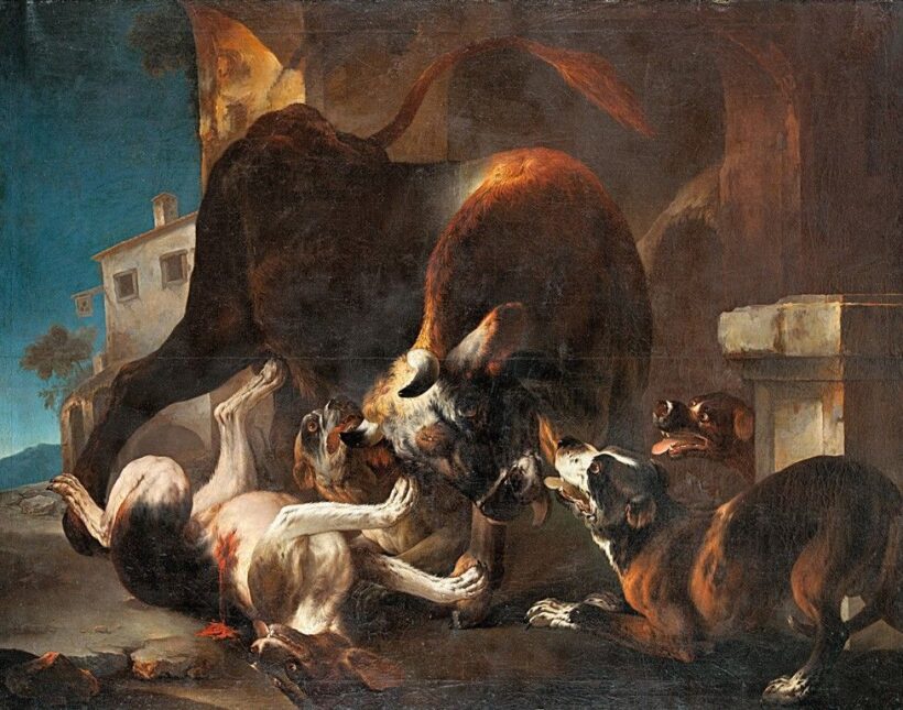 Roos, Philip Pieter (Tivoli, Rosa da) (1655/57-1706): Megvadult bikával küzdő vadászkutyák   VÉDETT - NO EXPORT