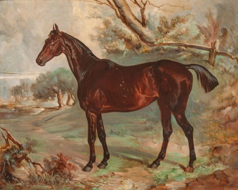 Henderson, Charles Cooper (1803-1877): Echo, 1867