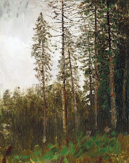 Mednyánszky László:Fenyves