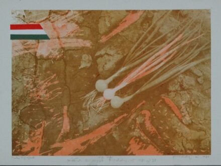 Pinczehelyi Sándor (1946): Makó VII., 1981. ajánlással