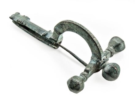 Fibula
