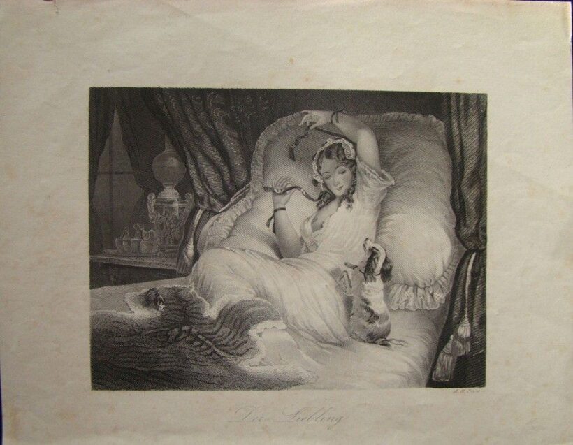 53-1098 "Der Liebling" 25x20cm