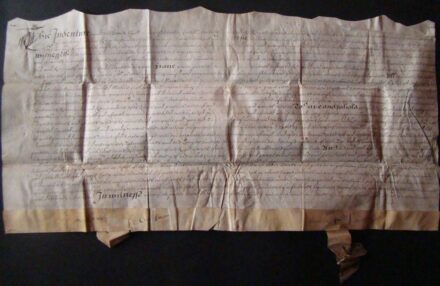 53-1466 1678 Pergamentre írt oklevél / 57x28cm