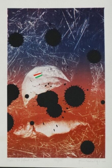 Pinczehelyi Sándor (1946): Makó, 1986