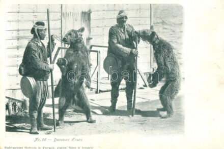 No. 66. Danseurs d'ours / Turkish bear tamers