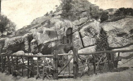 Budapest XIV. Állatkert, Nagy sziklahegy (fl)