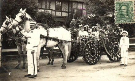 Pasadena, California; horse cart, photo