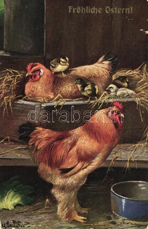 8 db RÉGI szignós motívumlap; állat (kakas, pulyka) / 8 old artist signed motive cards; animal, rooster, turkey - Image 2