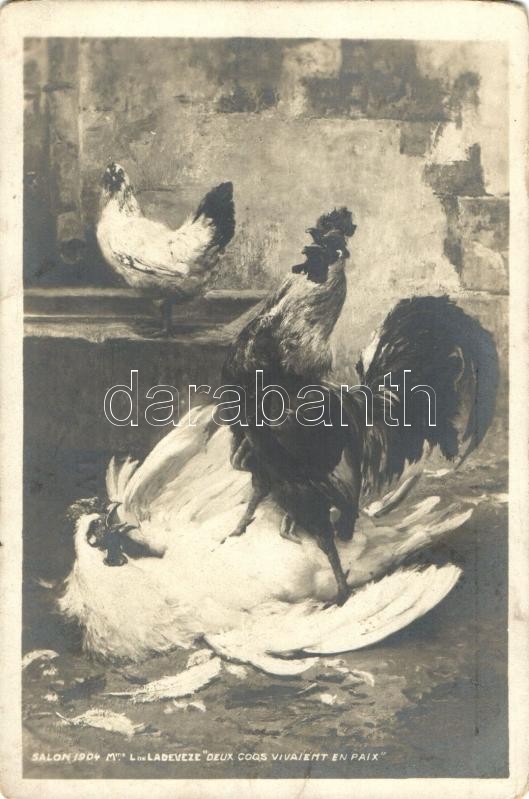 7 db RÉGI motívumlap; állat (kakas, csirke, pulyka) / 7 old motive cards; animal, rooster, turkey, chicken - Image 2