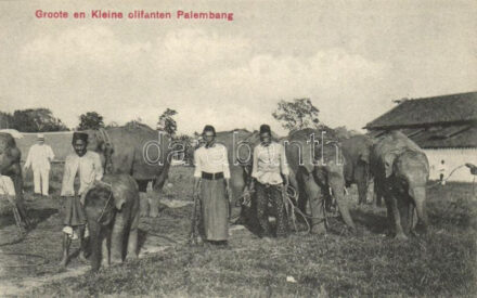 Palembang, Groote en Kleine olifanten / elephants, Indonesian folklore