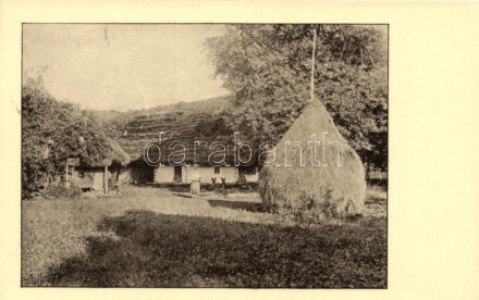 Vorocsó, kis tanya / small farm