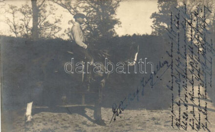 1924 Horse, photo