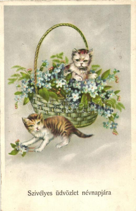 Name day, cats, HH.Co. 6408. (Rb)