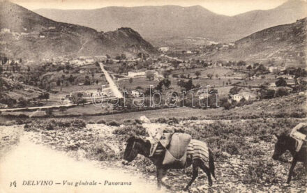 Delvino
