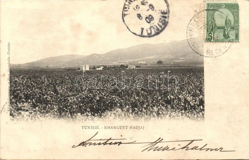 Khanguet el Hadjadj (fl)