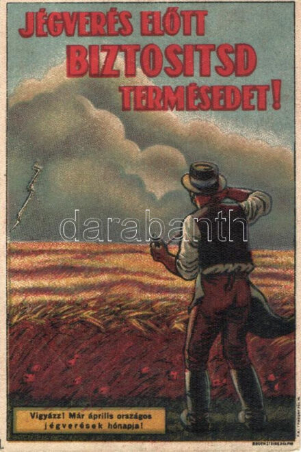 Jégverés előtt biztosítsd a termésedet! mezőgazdasági hirdetmény, Bruchsteiner és fia / Hungarian agricultural insurances propaganda