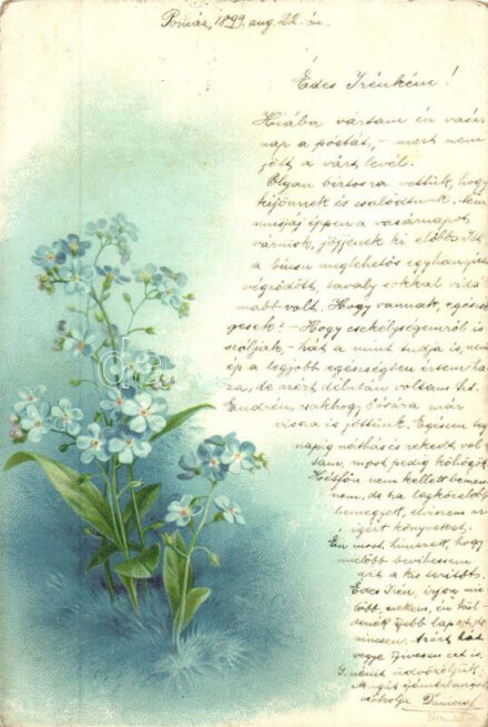 1899 Flowers, No. 5856., litho (b)