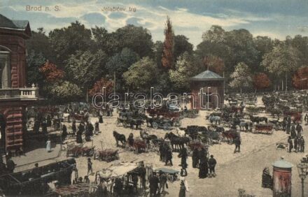 Bród, Brod na Savi, Slavonski Brod; Jelacicev trg / Jelasics tér, piac, lovaskocsik, Steiner Izidor kiadása / square, market, horse carts (EK)