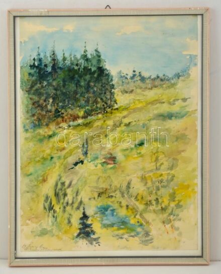 Olvashatatlan jelzéssel: Doboldal fenyőfákkal. Akvarell, papír, üvegezett keretben, 48×37 cm