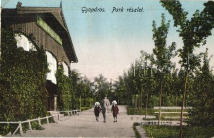 Gyopáros, Park részlet, vendéglő, Tomay kiadása (EK) + 'KISKUNFÉLEGYHÁZA-OROSHÁZA 446' mozgóposta