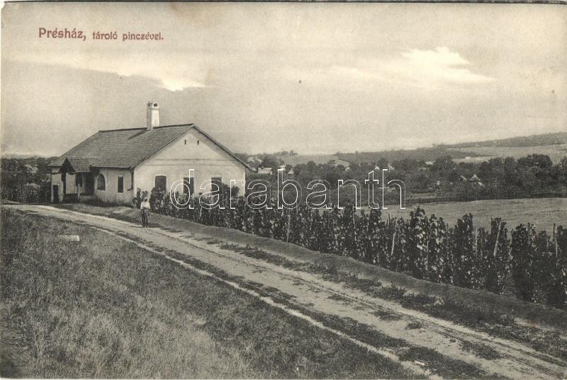 Magyarád, Magyarát, Maderat; Présház, tároló pince, szőlőskert / press house, wine cellar, vineyards (EK)