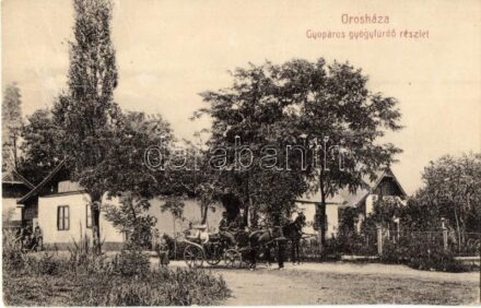Orosháza, Gyopáros gyógyfürdő részlet, hintó. W. L. (?) 489. (EK)