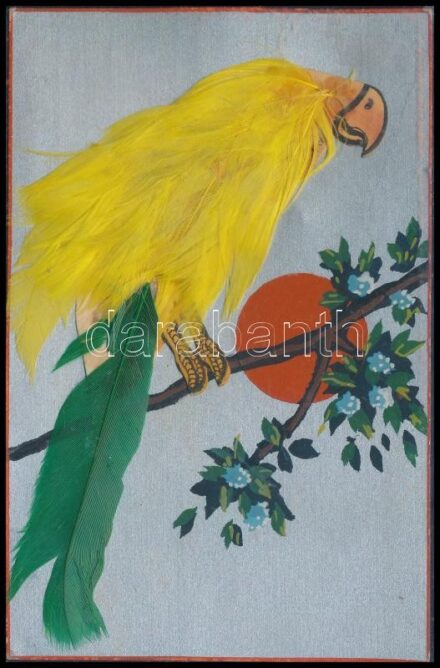 Parrot decorated with real feathers