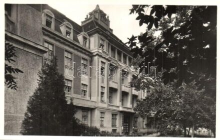 Debrecen, Egyetemi szülészeti klinika