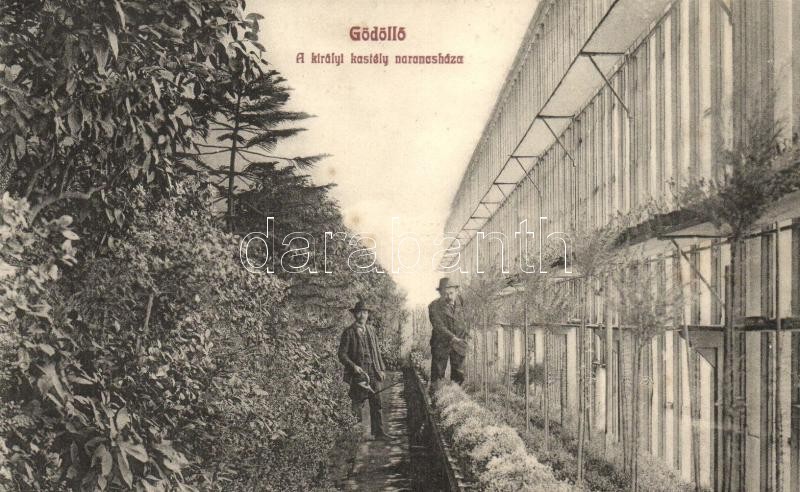 Gödöllő, Királyi kastély narancsháza