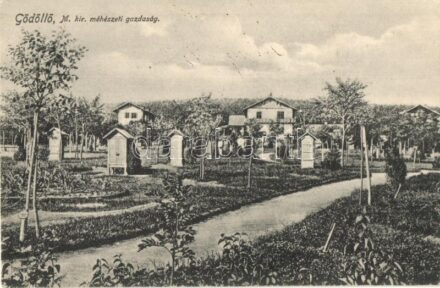 Gödöllő, M. kir. méhészeti gazdaság, méhkaptárok (EK)