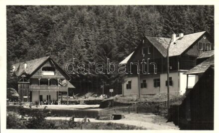 Radnaborberek, Valea Vinului; M. kir. Földm. Minisztérium üdülőtelepe / holiday resort