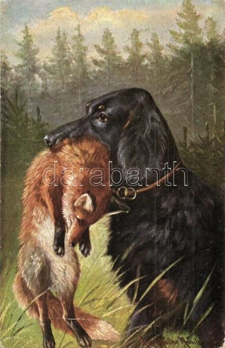 Hunting dog with fox. K.V.B. Serie 9005. s: M. Müller