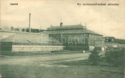 Aszód, Kir. javító nevelőintézeti pálmaház. Kiadja Vas József (EK)