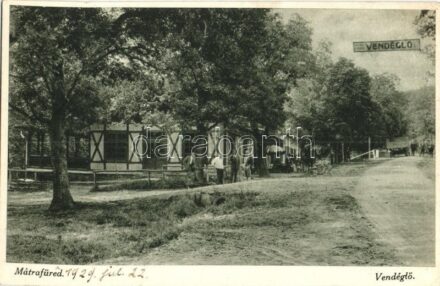 Mátrafüred (Gyöngyös), Vendéglő, étterem